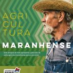 Sinopse da Nota de Agricultura Maranhense – jun. 2020