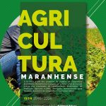 Nota de Agricultura Maranhense – jul./ago. 2020