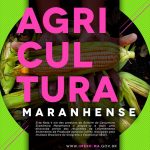 Nota de Agricultura Maranhense – jul./ago. 2021