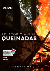 Relatório Anual de Queimadas – 2020