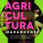 Nota de Agricultura Maranhense – set./out. 2021