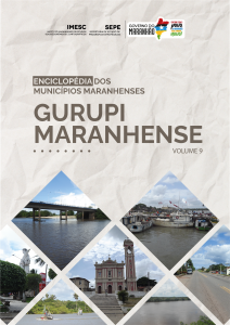 Enciclopédia dos municípios maranhenses – v. 9 – Região de Desenvolvimento do Gurupi Maranhense