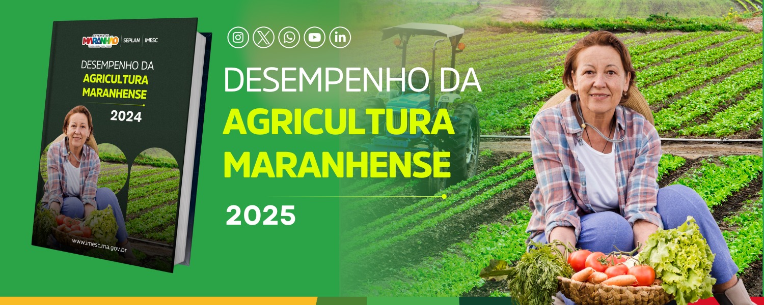 Produção agrícola do Maranhão cresce e alcança o 2º maior valor do Nordeste em 2024