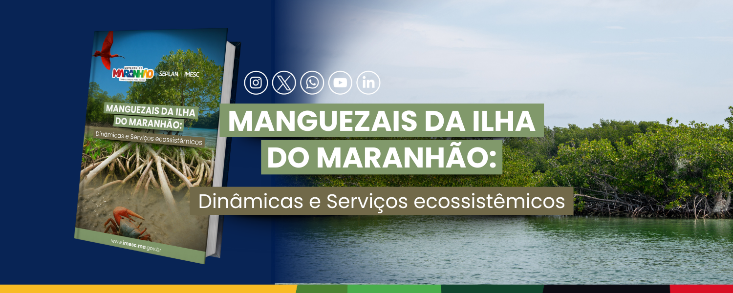 Imesc lança estudo sobre dinâmicas e serviços ecossistêmicos dos manguezais da Ilha do Maranhão