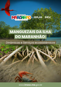 Manguezais da Ilha do Maranhão: Dinâmicas e Serviços ecossistêmicos