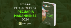Imesc divulga Desempenho da Pecuária Maranhense 2024